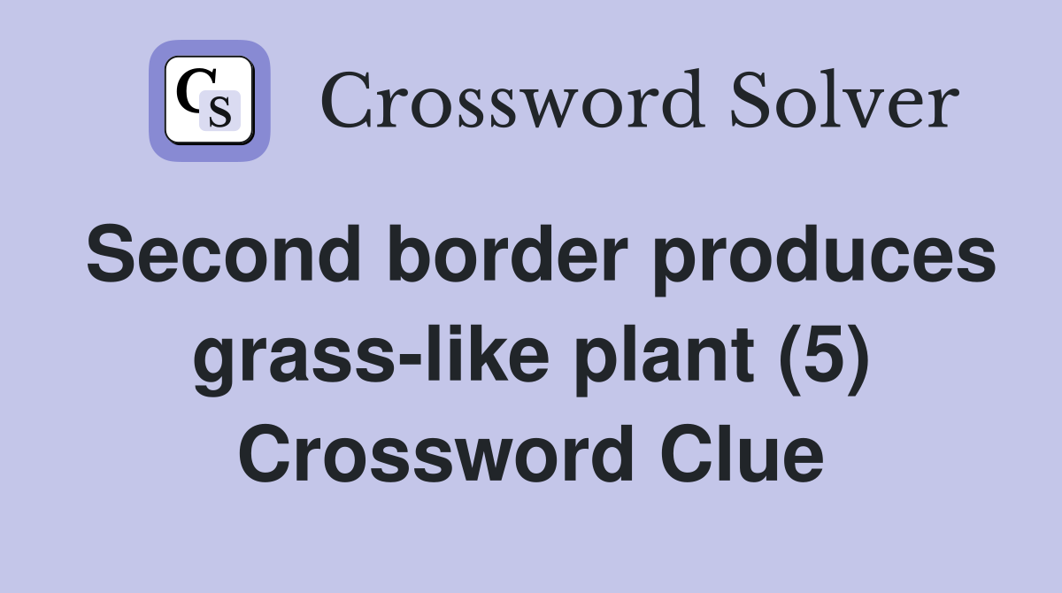 Second border produces grass-like plant (5) Crossword Clue