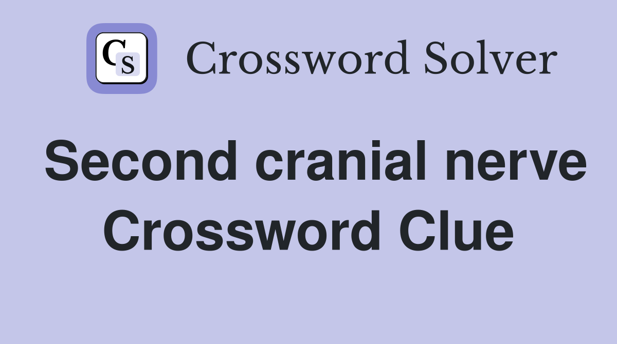 Second cranial nerve Crossword Clue