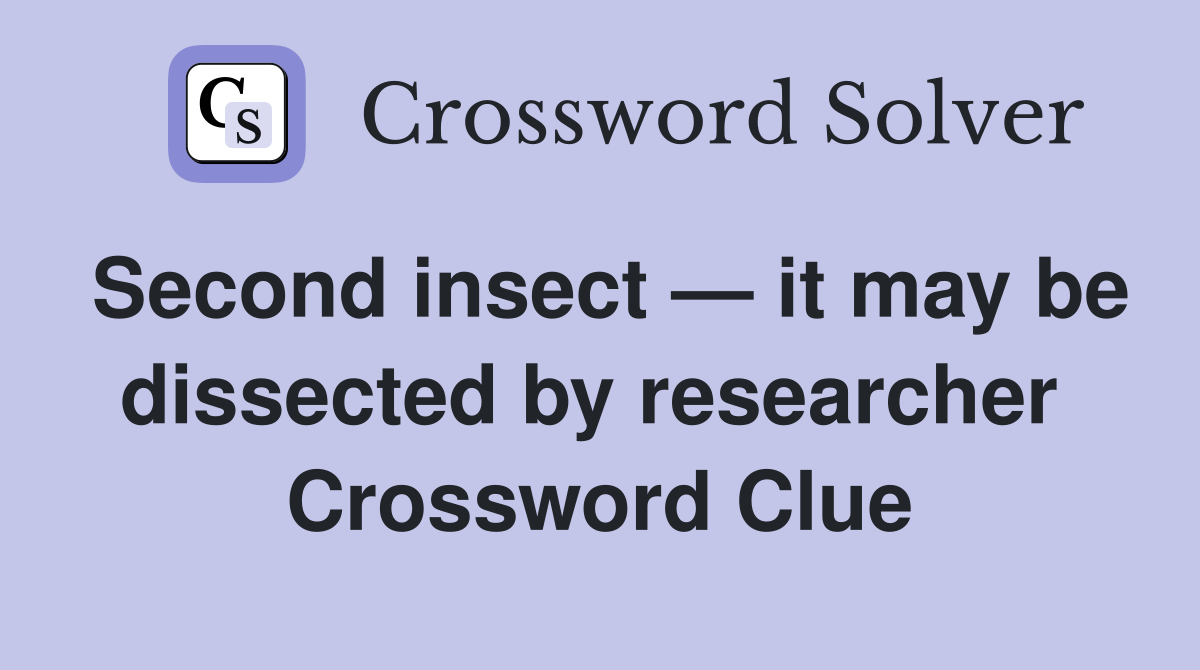 Second insect — it may be dissected by researcher  Crossword Clue
