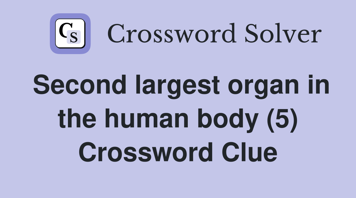 Second largest organ in the human body (5) Crossword Clue