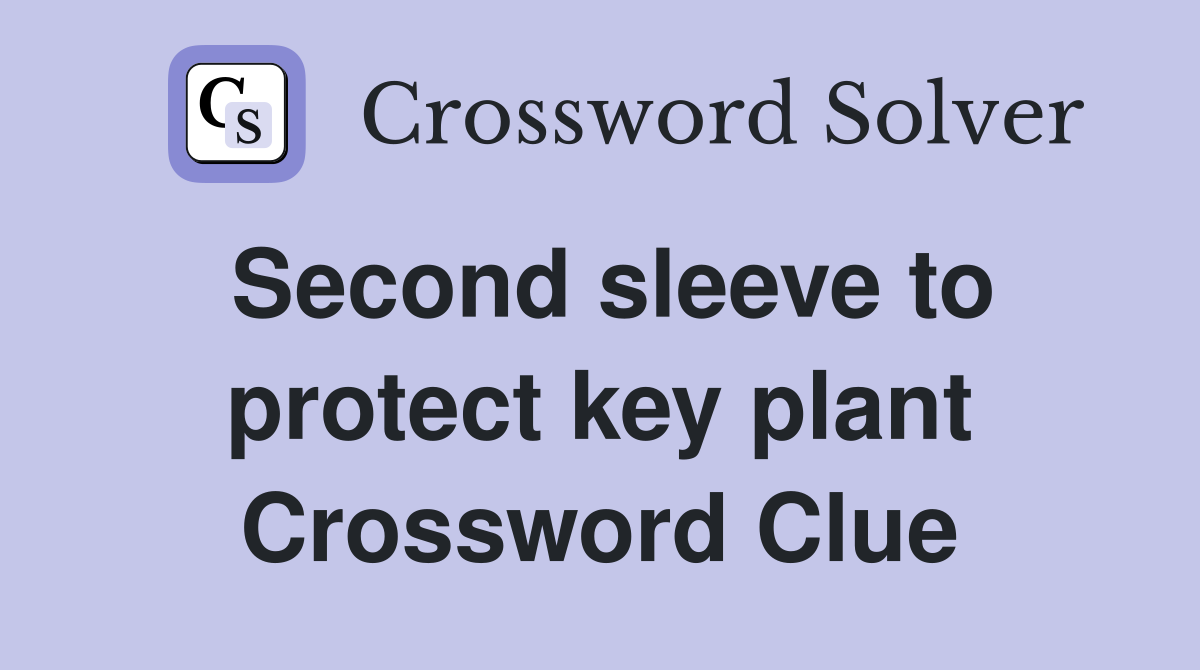 Second sleeve to protect key plant Crossword Clue