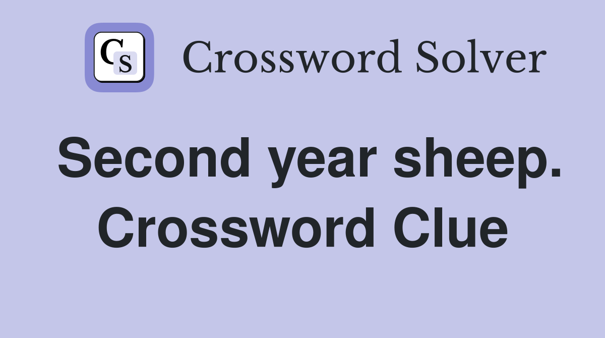 Second year sheep. Crossword Clue