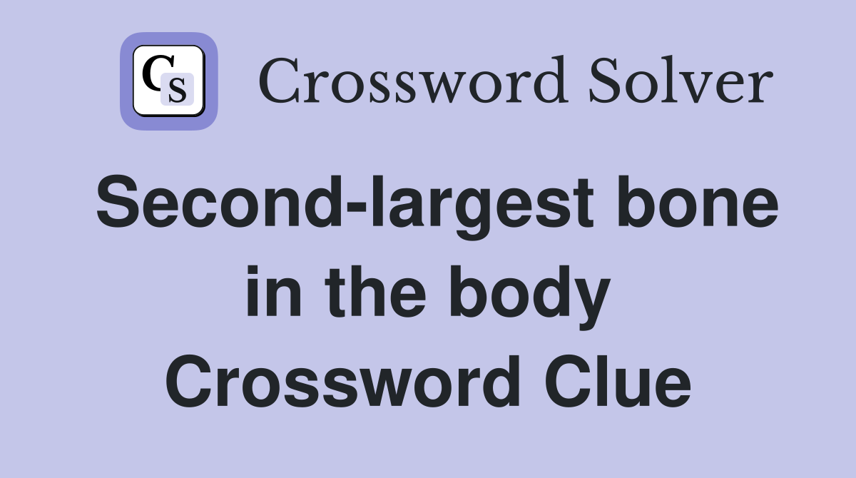 Second-largest bone in the body Crossword Clue
