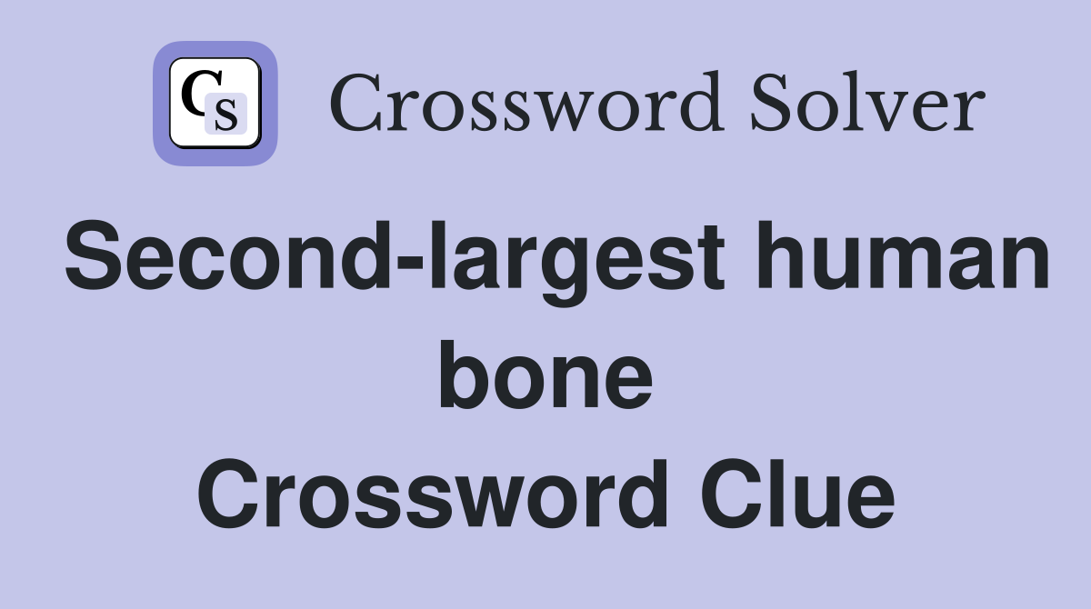 Second-largest human bone Crossword Clue