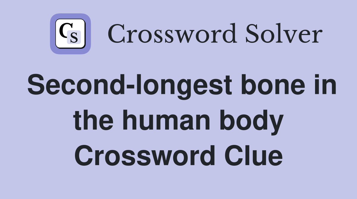Second-longest bone in the human body Crossword Clue