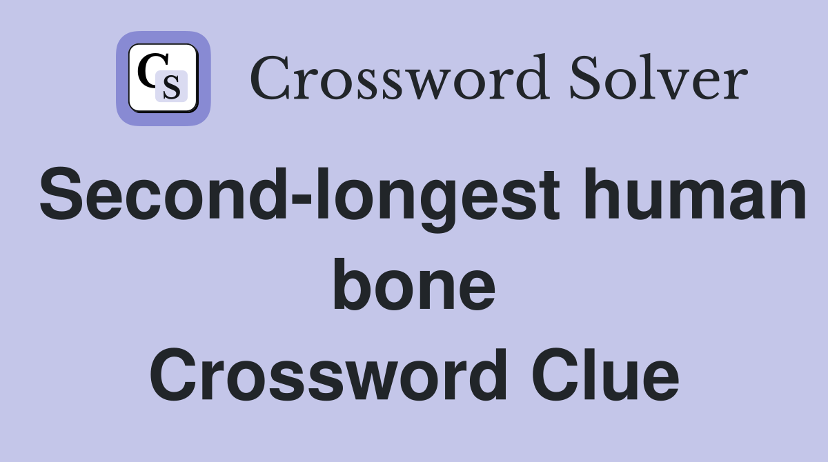 Second-longest human bone Crossword Clue
