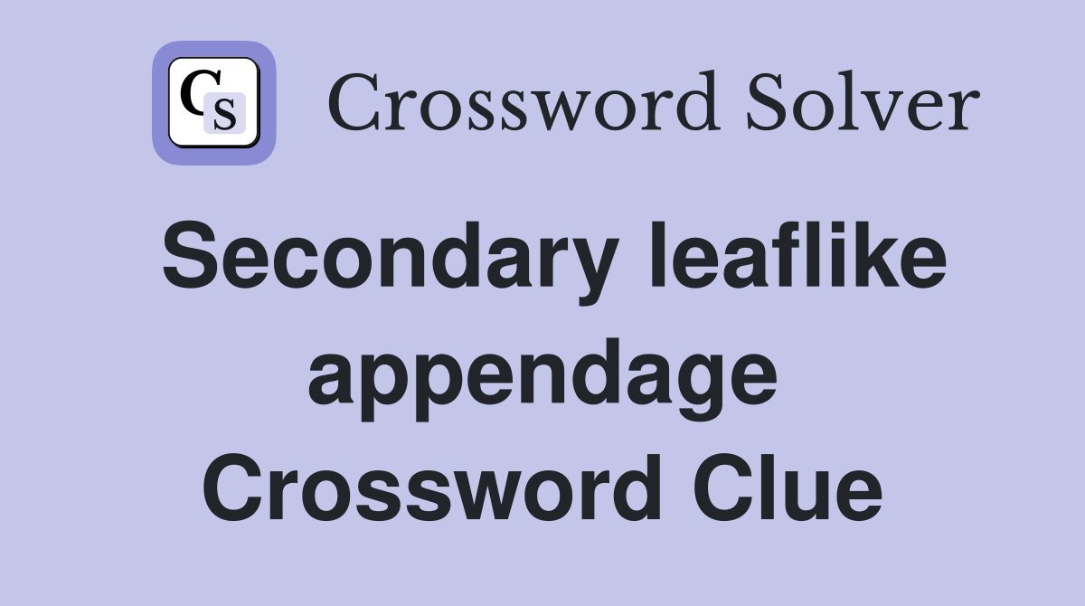 Secondary leaflike appendage Crossword Clue