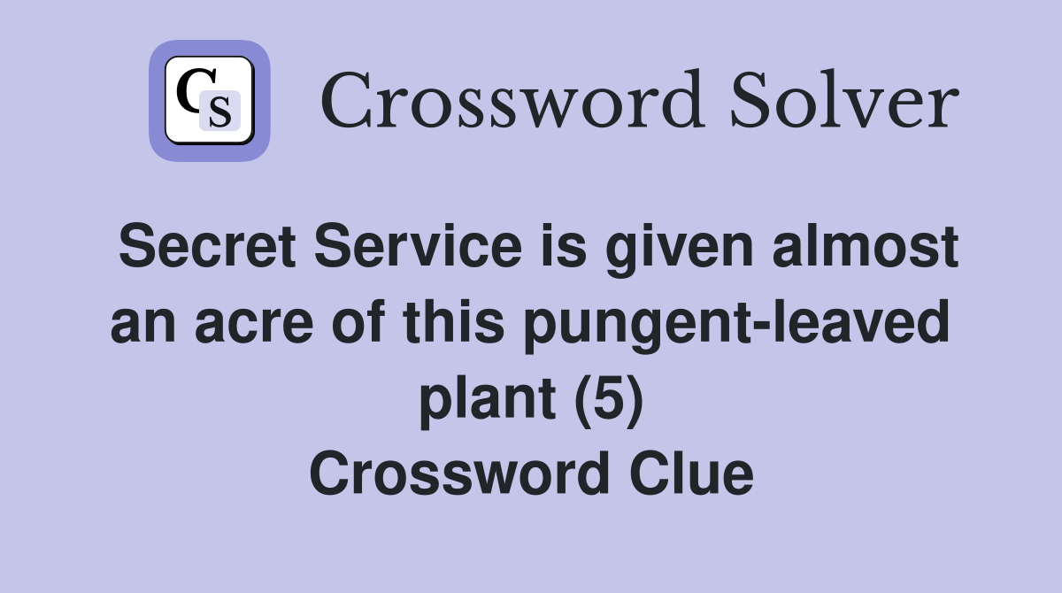Secret Service is given almost an acre of this pungent-leaved plant (5) Crossword Clue