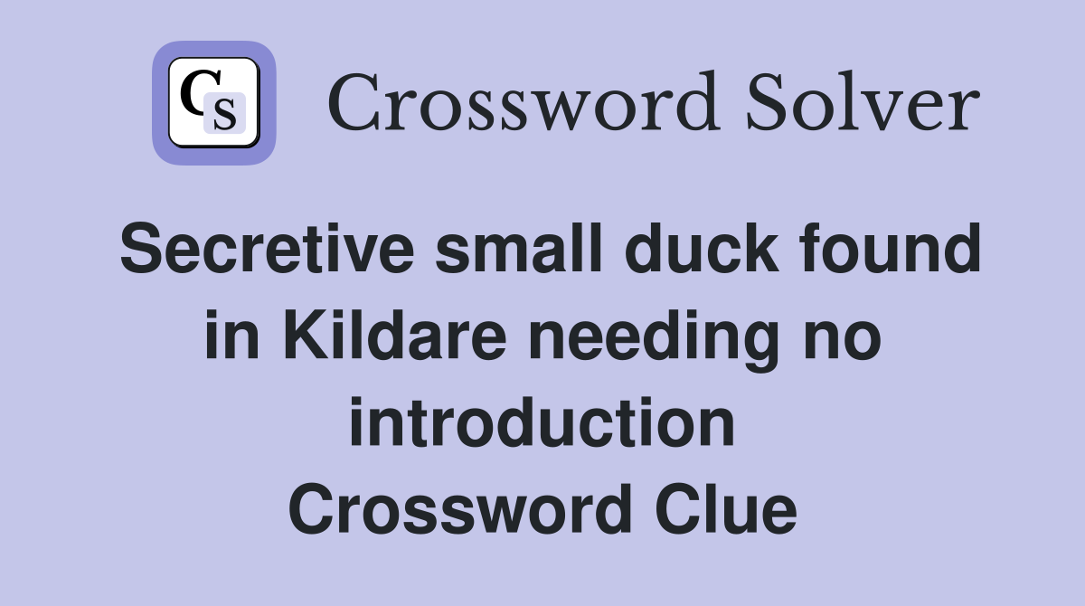 Secretive small duck found in Kildare needing no introduction Crossword Clue
