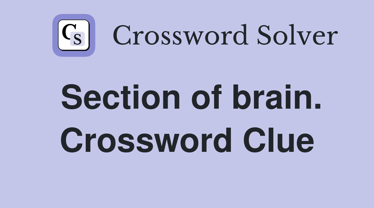 Section of brain. Crossword Clue