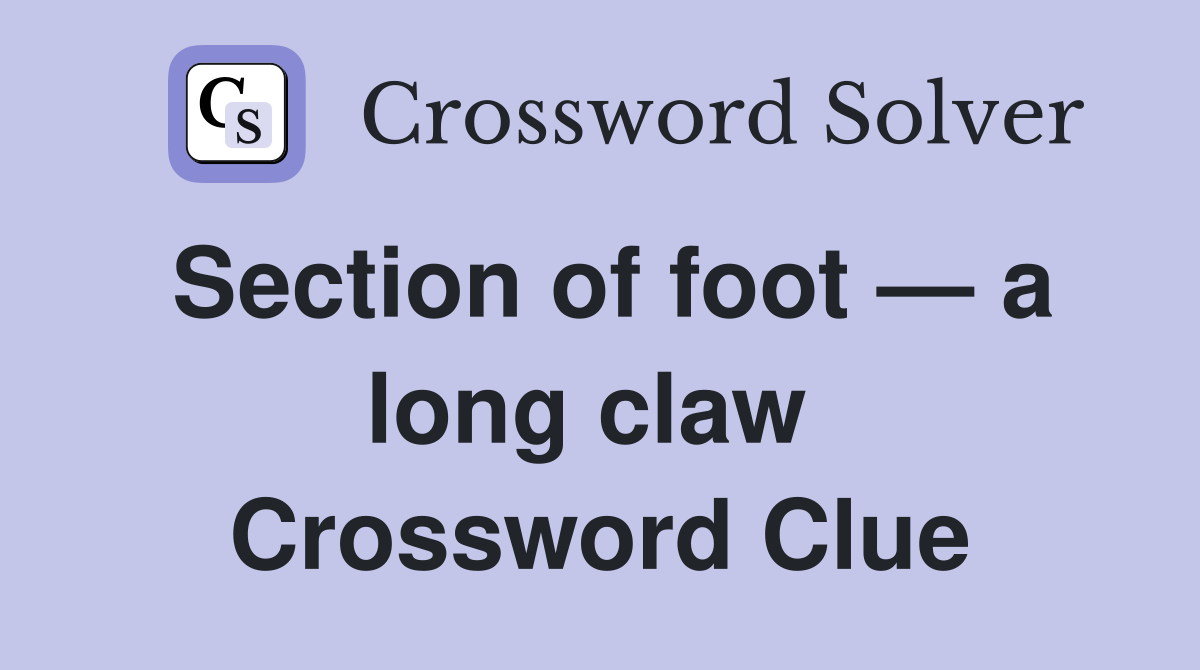 Section of foot — a long claw  Crossword Clue