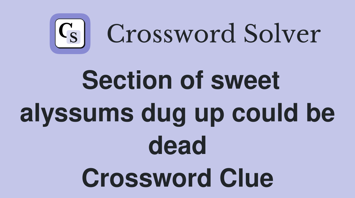 Section of sweet alyssums dug up could be dead Crossword Clue