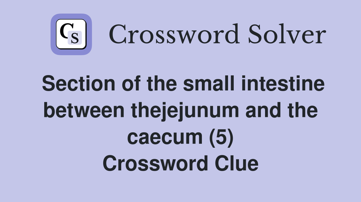 Section of the small intestine between thejejunum and the caecum (5) Crossword Clue