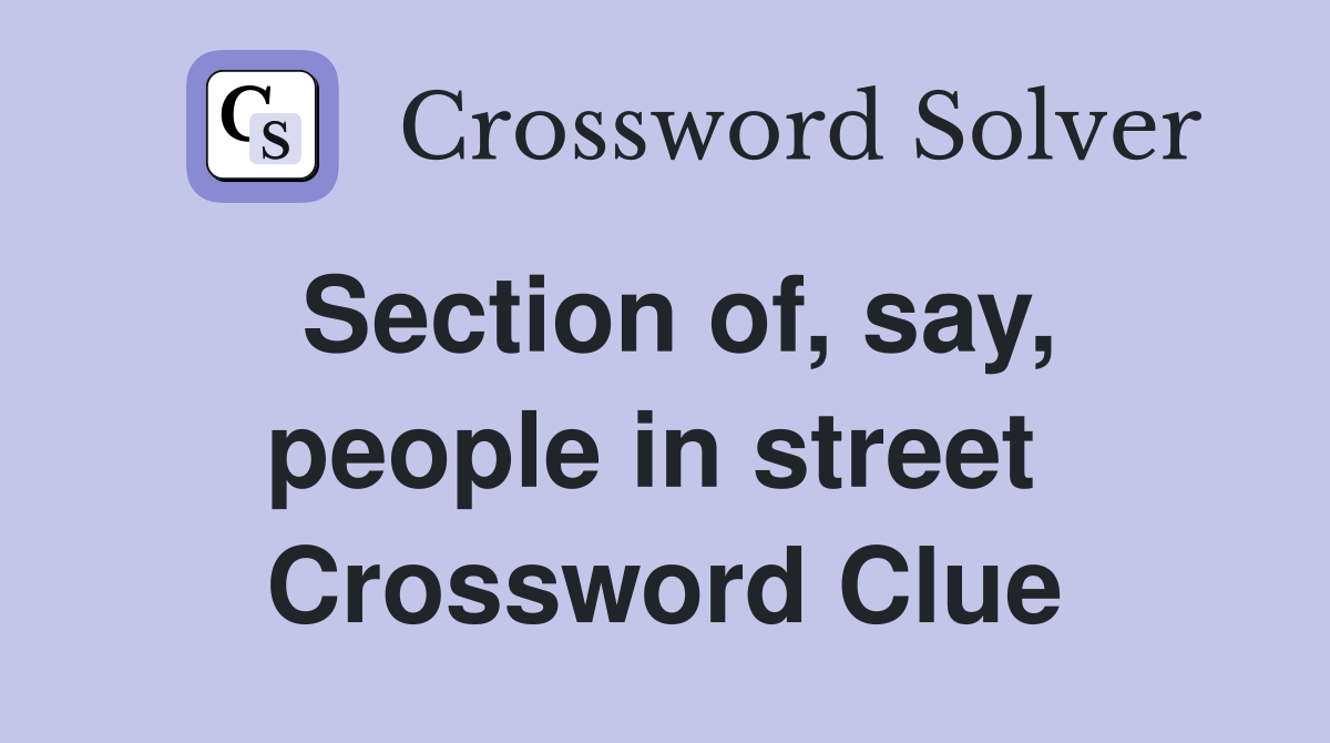 Section of, say, people in street  Crossword Clue