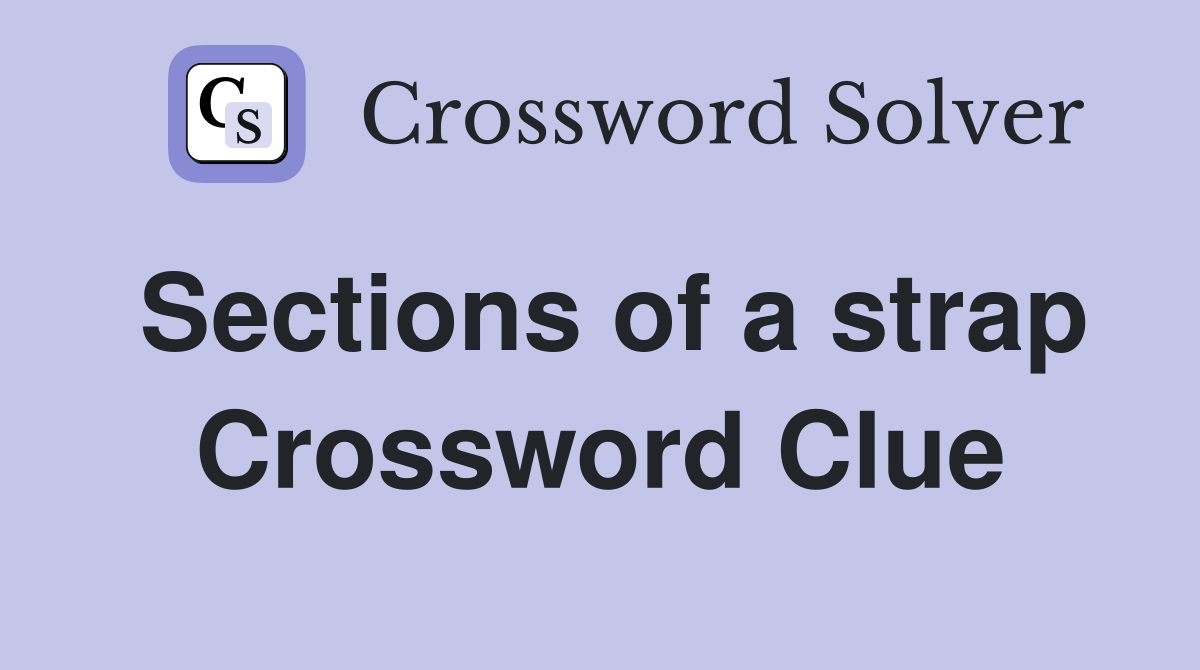 Sections of a strap Crossword Clue