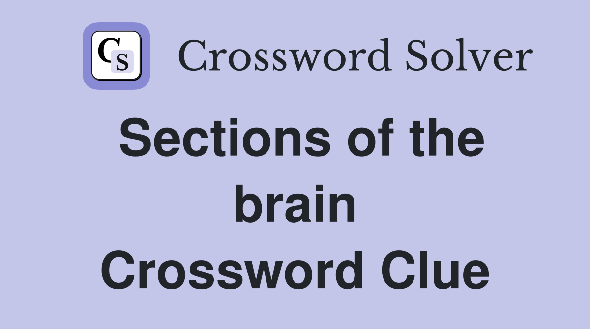 Sections of the brain Crossword Clue