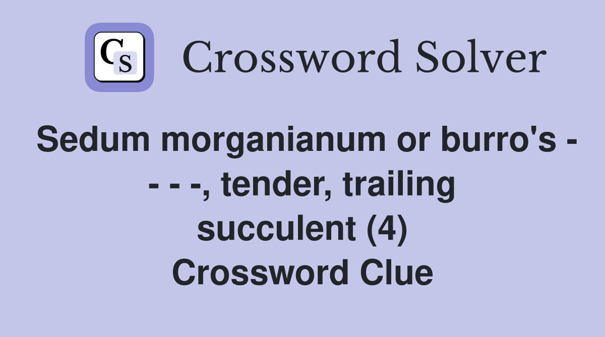 Sedum morganianum or burro's - - - -, tender, trailing succulent (4) Crossword Clue