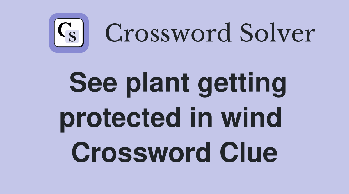 See plant getting protected in wind  Crossword Clue