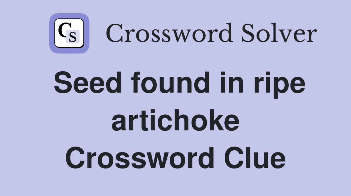 Seed found in ripe artichoke Crossword Clue