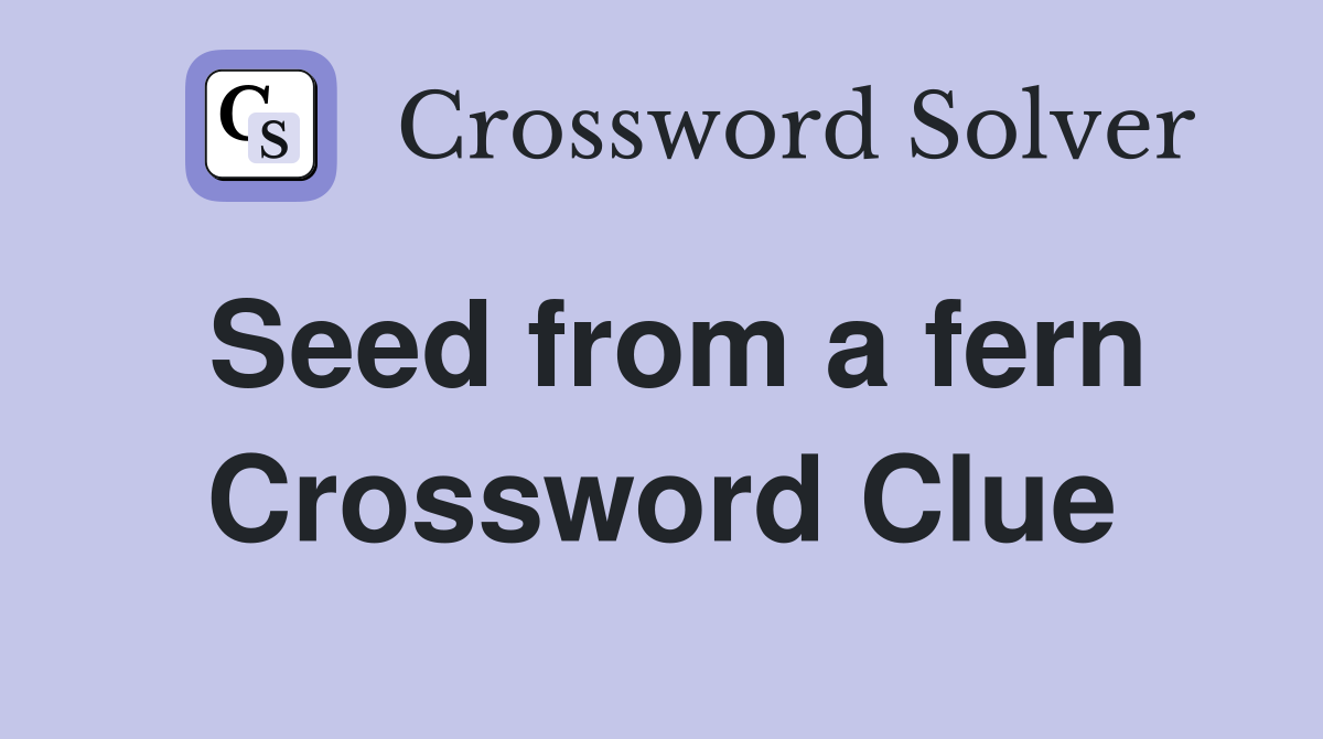 Seed from a fern Crossword Clue