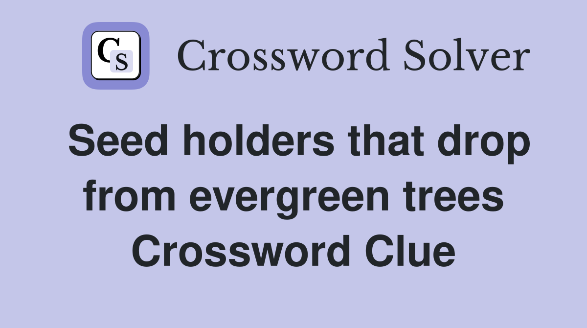 Seed holders that drop from evergreen trees Crossword Clue