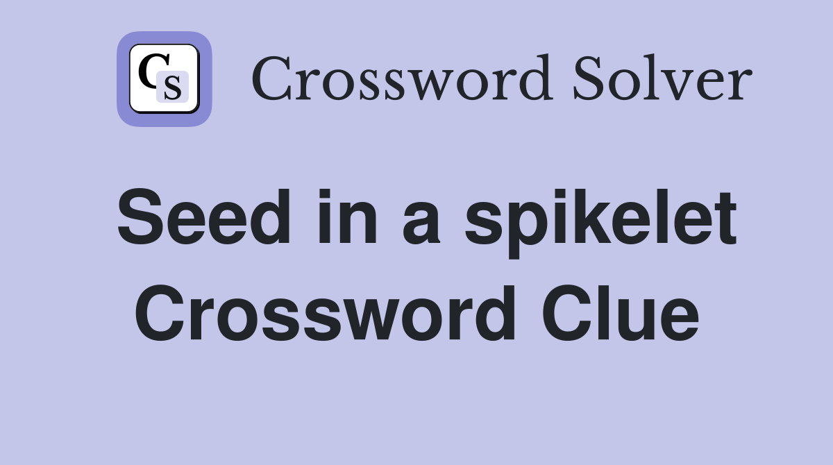 Seed in a spikelet Crossword Clue