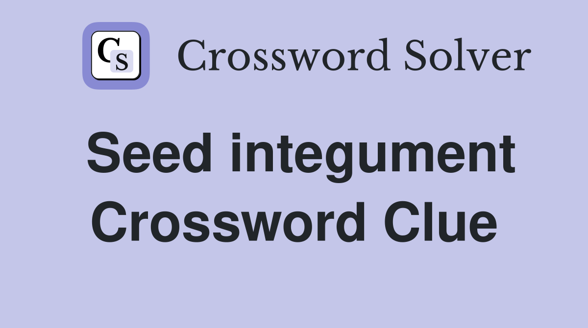 Seed integument Crossword Clue