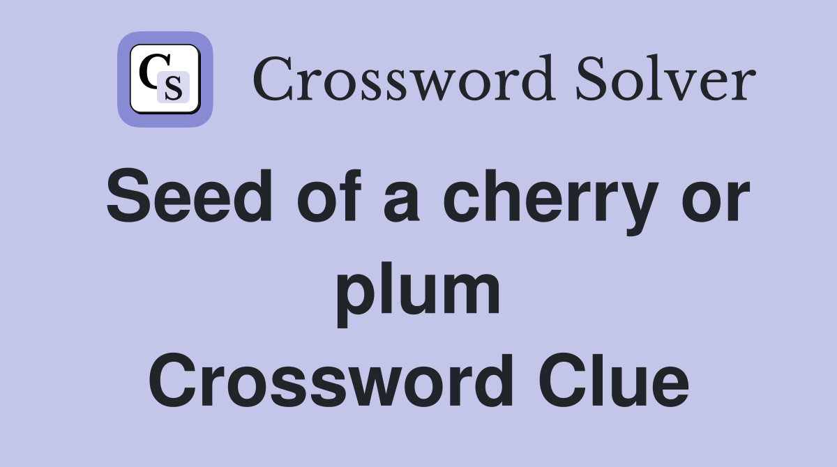 Seed of a cherry or plum Crossword Clue
