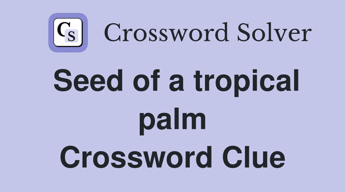 Seed of a tropical palm Crossword Clue