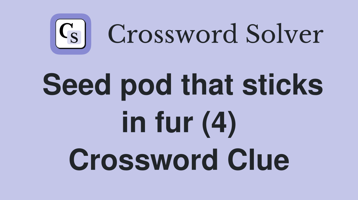 Seed pod that sticks in fur (4) Crossword Clue