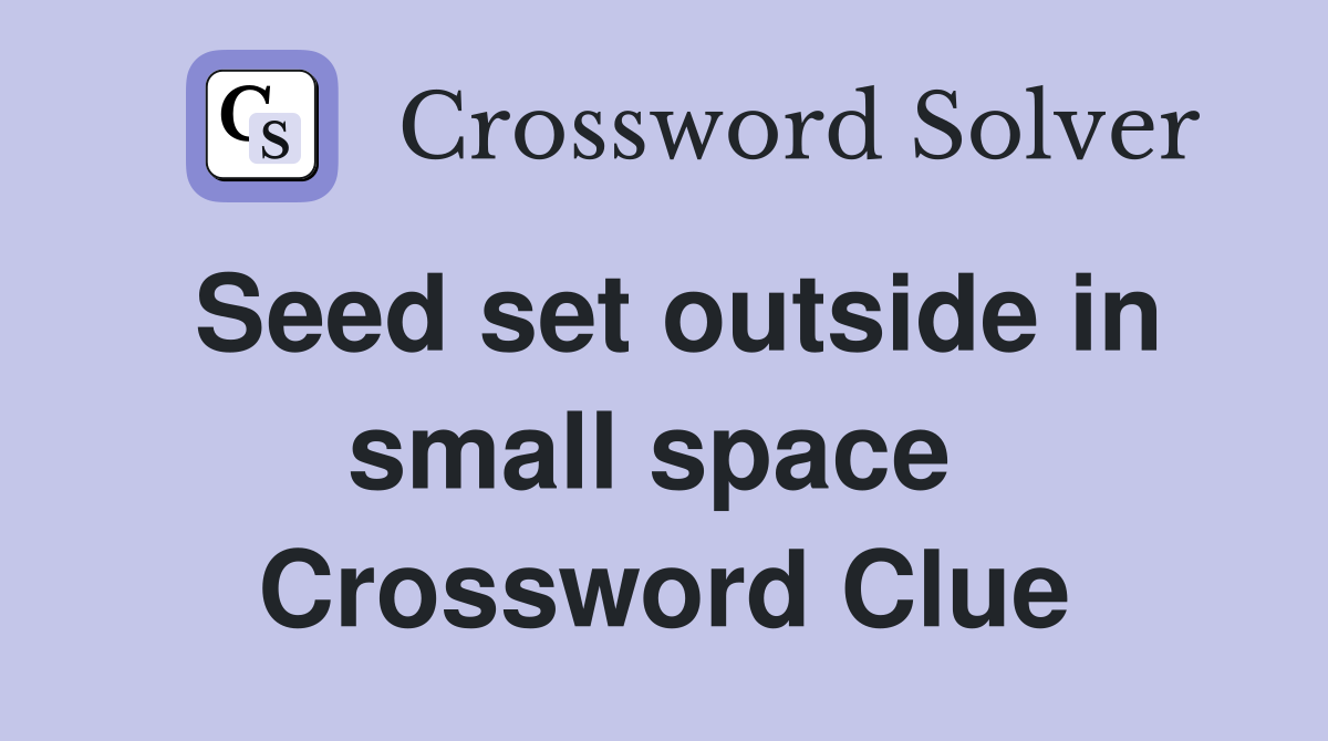 Seed set outside in small space  Crossword Clue