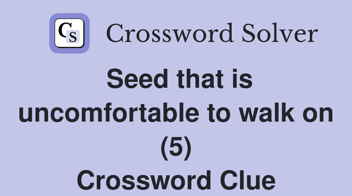 Seed that is uncomfortable to walk on (5) Crossword Clue