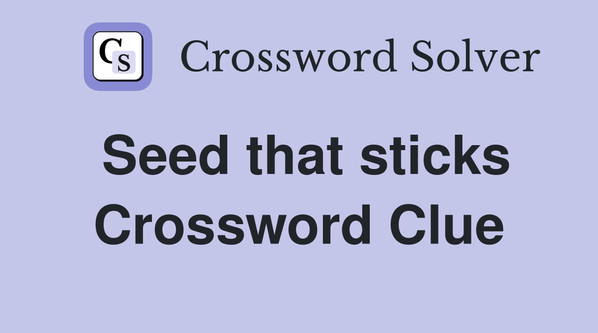 Seed that sticks Crossword Clue