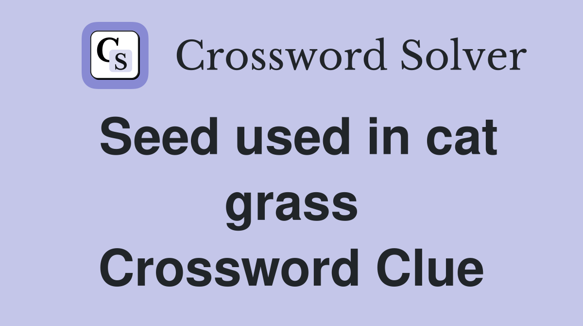 Seed used in cat grass Crossword Clue