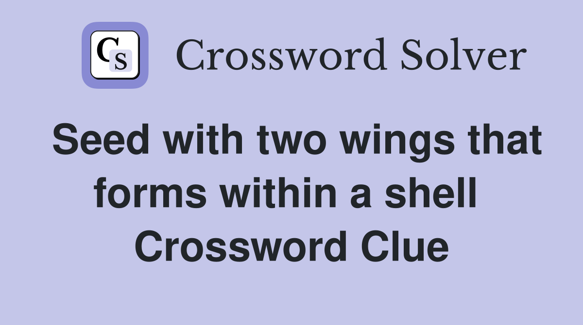 Seed with two wings that forms within a shell  Crossword Clue
