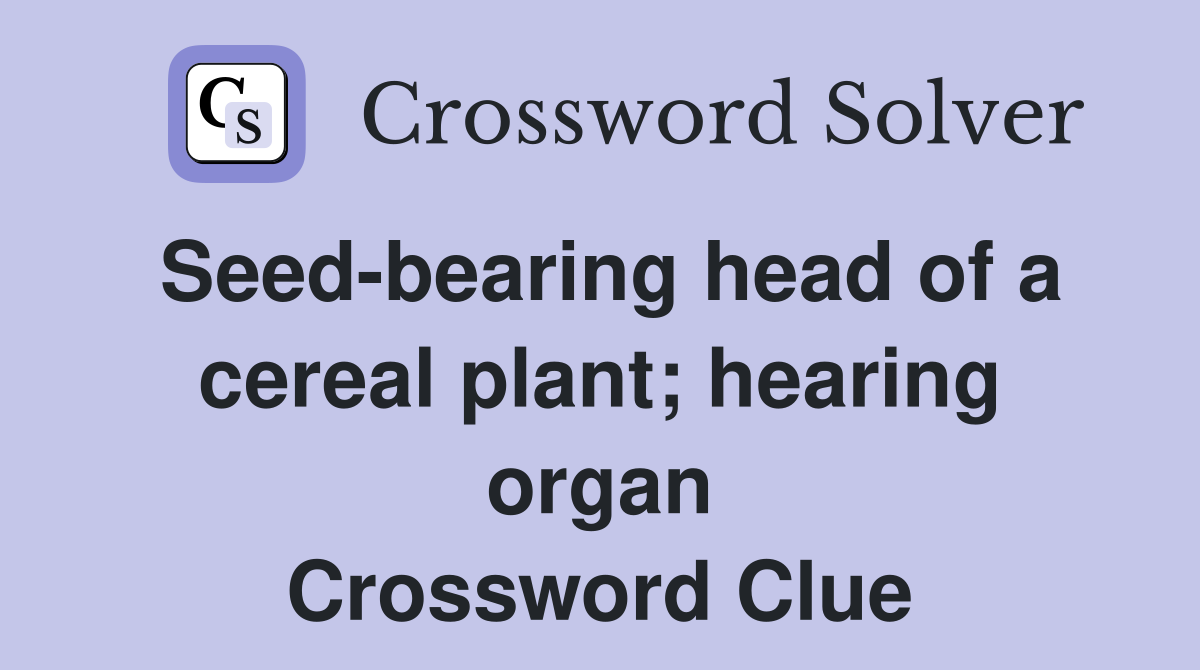 Seed-bearing head of a cereal plant; hearing organ Crossword Clue