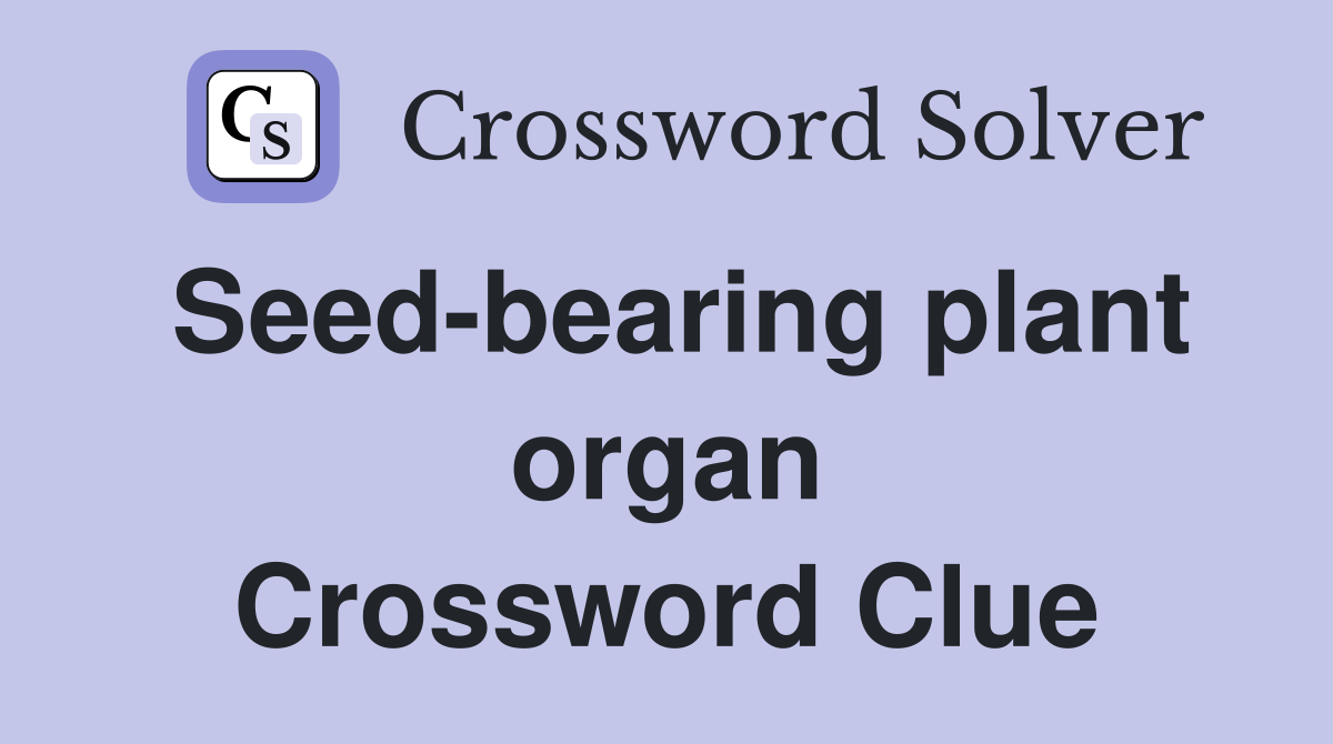 Seed-bearing plant organ Crossword Clue