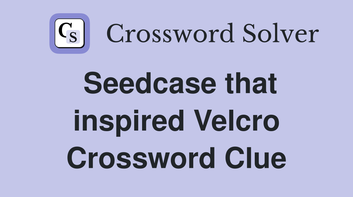 Seedcase that inspired Velcro Crossword Clue