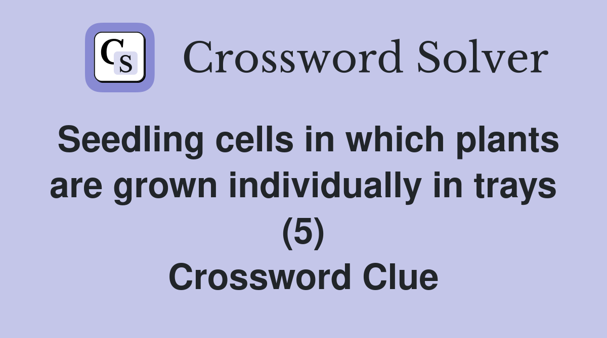 Seedling cells in which plants are grown individually in trays (5) Crossword Clue