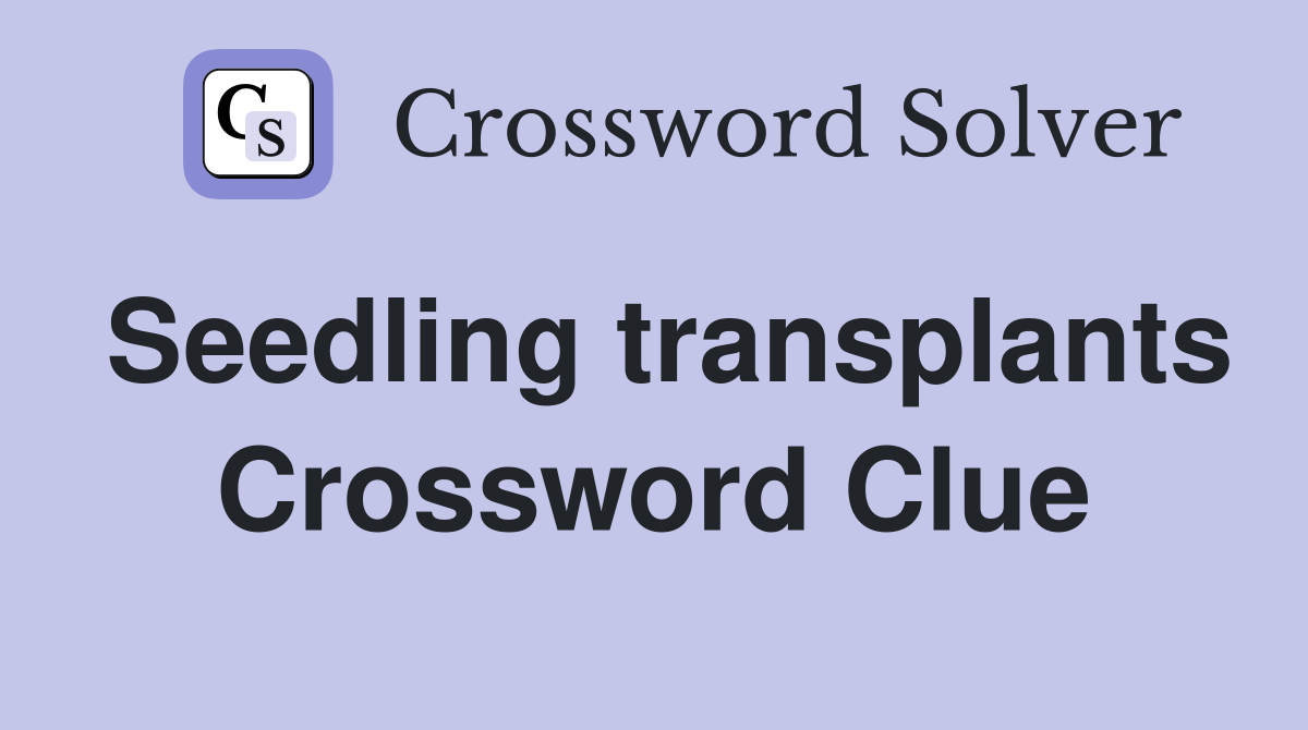 Seedling transplants Crossword Clue