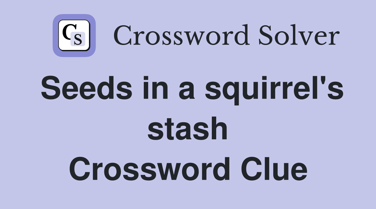 Seeds in a squirrel's stash Crossword Clue