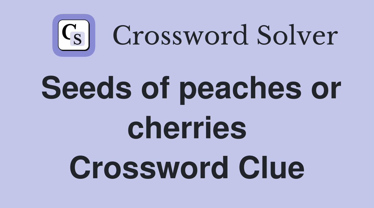 Seeds of peaches or cherries Crossword Clue