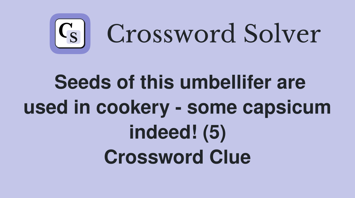 Seeds of this umbellifer are used in cookery - some capsicum indeed! (5) Crossword Clue