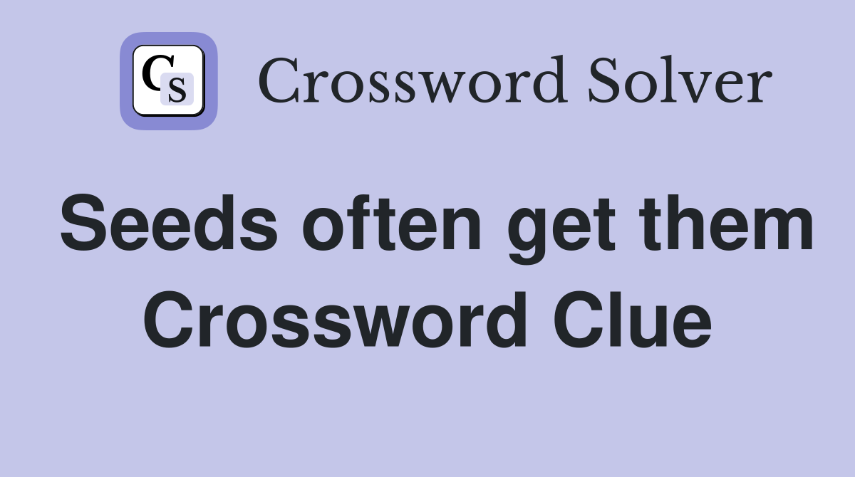 Seeds often get them Crossword Clue