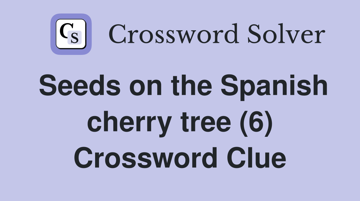 Seeds on the Spanish cherry tree (6) Crossword Clue