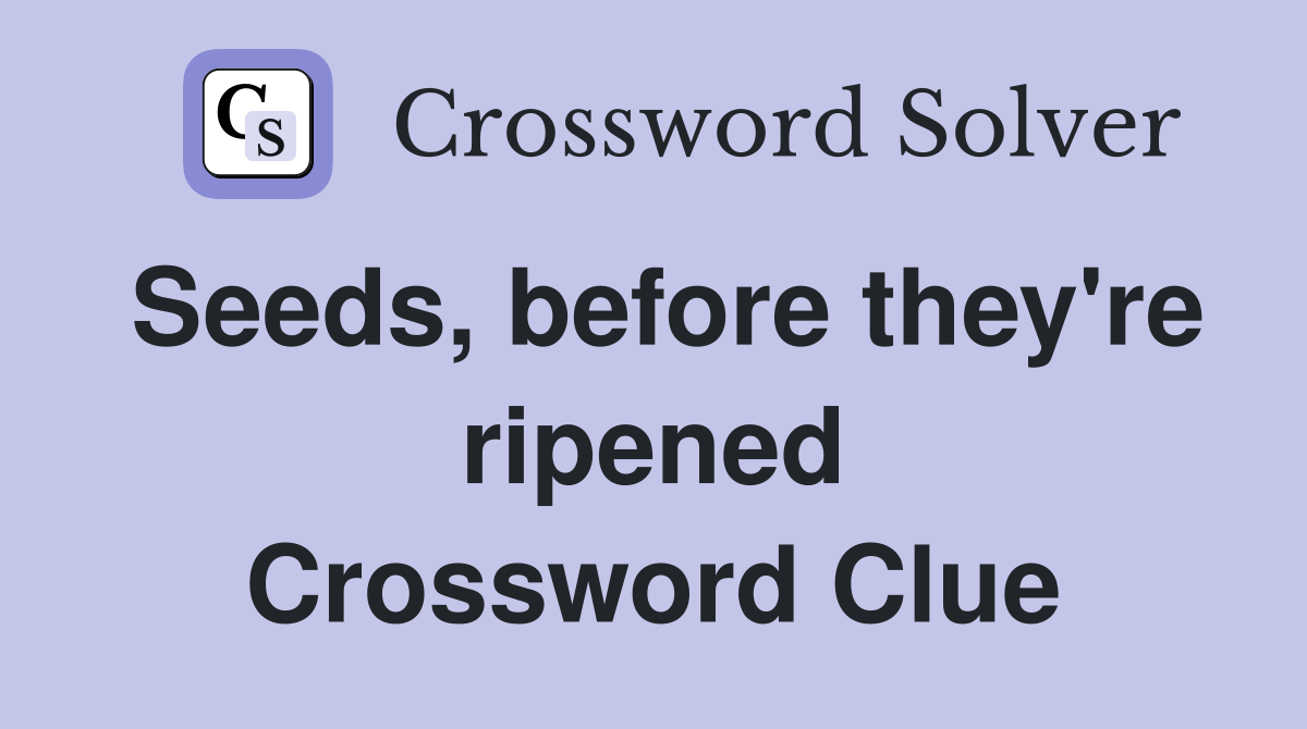 Seeds, before they're ripened Crossword Clue
