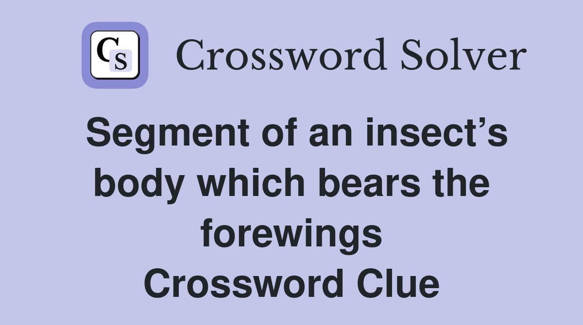 Segment of an insect’s body which bears the forewings Crossword Clue