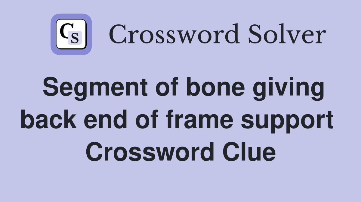 Segment of bone giving back end of frame support  Crossword Clue