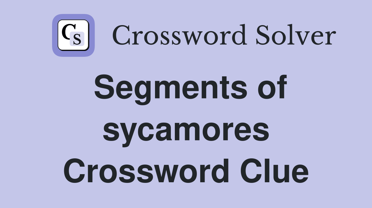 Segments of sycamores Crossword Clue