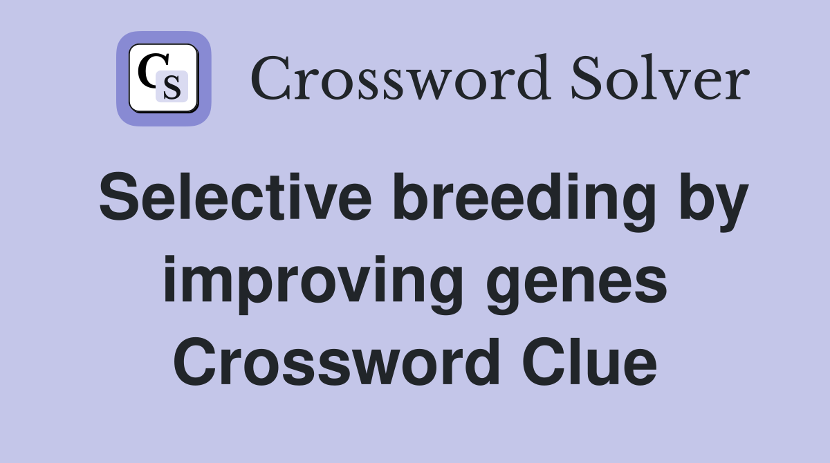 Selective breeding by improving genes Crossword Clue